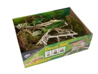 Lucky Reptile Life Experience Deko Set "Mantis"