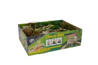 Lucky Reptile Life Experience Deko Set "Mantis"