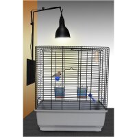 Lucky Reptile Lamp Support 2 in 1 "schwarz"