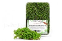 the Pet Factory lebendes Waldmoos 1L