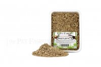 the Pet Factory Beetlefix 2 1 Liter
