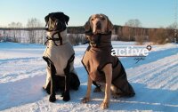Active cape+ Brown XS 51cm