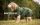 Warmover Fleece cape Pine Green L 68cm