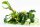 Bucephalandra pygmaea ´Bukit Kelam` (1-2-Grow!)