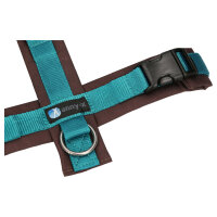anny-x Brustgeschirr Fun braun/petrol XL