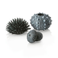 biOrb Seeigel Set schwarz