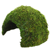 Hobby Jungle Cave 2 (17x17x12cm)