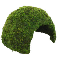 Hobby Jungle Cave 2 (17x17x12cm)