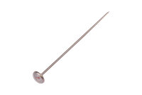 Oase Thermometer neutral