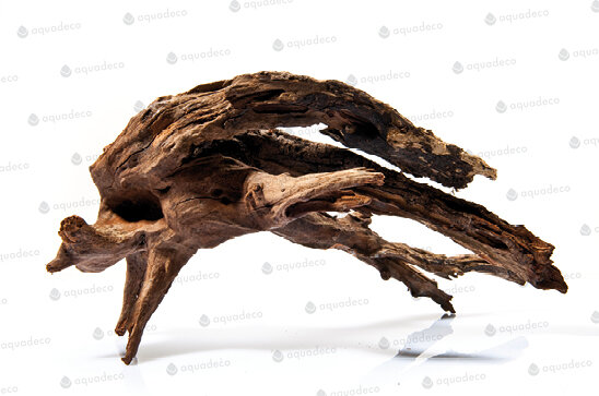 Flusswurzel (Driftwood) natur 40-60cm pro 1kg