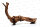 Flusswurzel (Driftwood) natur 40-60cm pro 1kg