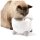 Catit PIXI Smart Trinkbrunnen