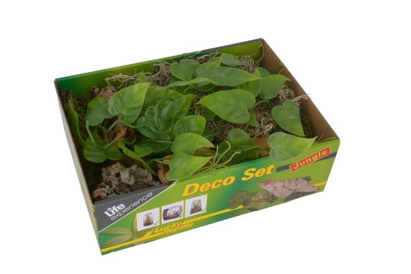 Lucky Reptile Life Experience Deko Set "Jungle"
