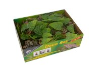 Lucky Reptile Life Experience Deko Set "Jungle"