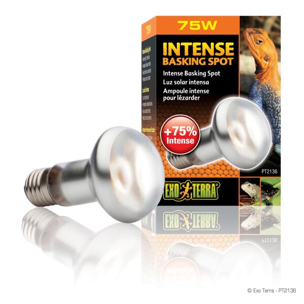 Exo Terra Intense Basking Spot R20/75W
