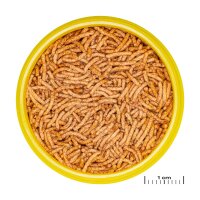 JBL ProNovo Betta Insect Stick S 100ml