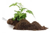 The Pet Factory Spider Ground 2,5kg