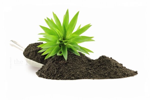 The Pet Factory Wiloground 2,5kg