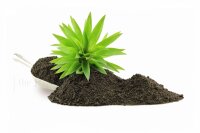 The Pet Factory Wiloground 2,5kg