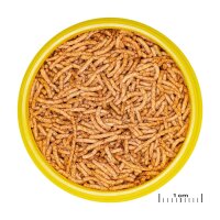 JBL ProNovo Red Insect Stick S 100ml