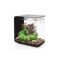 biOrb Flow 30 MCR schwarz