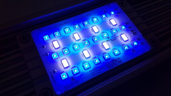 daytime matrix Modul PRO SunLike- Marine 3:1 "SLM3:1 (8.000k + Royal Blue 450nm + Blue 465nm) 10W