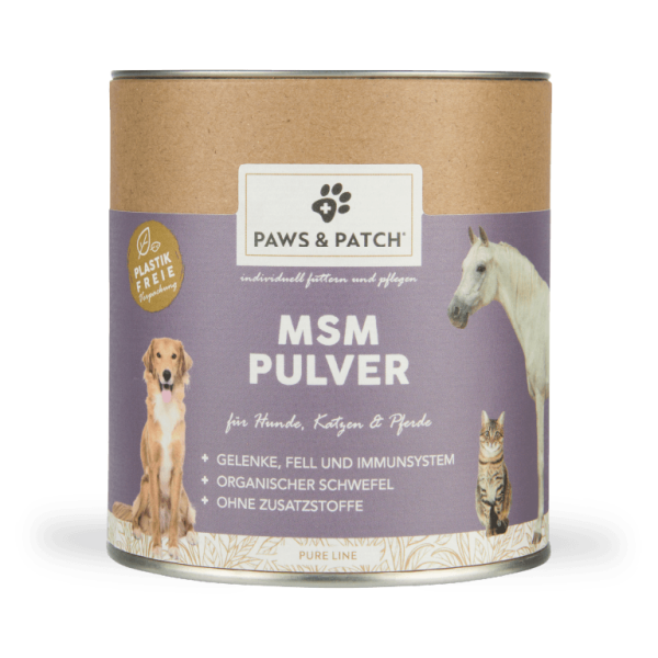 MSM Pulver 400g
