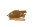 Bodydogs Hirschhaut ohne Fell 250g