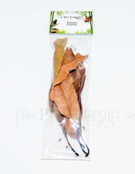 the Pet Factory - Mango Leaves