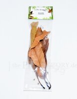 the Pet Factory - Mango Leaves
