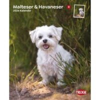 Trixie Kalender Malteser/Havaneser