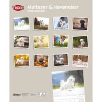 Trixie Kalender Malteser/Havaneser