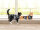 RSUIT-CAT-XS BLACK CAMO (42 - 45 cm)