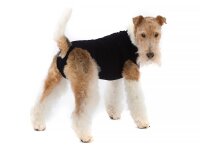 RSUIT-DOG-S BLACK (43 - 51 cm)