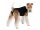 RSUIT-DOG-S BLACK (43 - 51 cm)