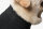 RSUIT-DOG-S BLACK (43 - 51 cm)