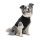 RSUIT-DOG-M BLACK (55 -69 cm)