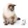 Catit PIXI Smart Mauskamera