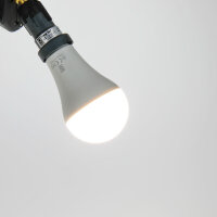 JBL Reptil LED Daylight 13W (E27)