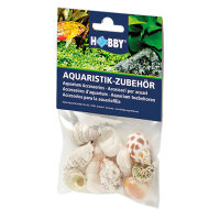 Hobby Sea Shells Set M 10 Stück