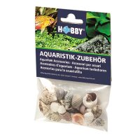 Hobby Sea Shells Set S 20 Stück