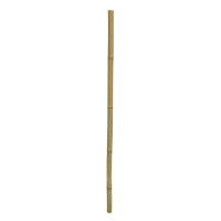 Hobby Bamboo Stix Ø2-3cm, 100cm, 1 Stück