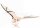 Holz Puzzle 3D, Fledermaus (34 Teile)