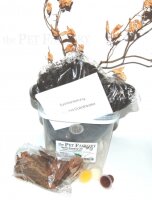 The Pet Factory Beetle Breeding Set, Rosenkäfer