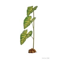 Exo Terra Dripper Plant inkl. Pumpe, groß