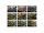 Exo Terra Bio Drain Terrarium Substrat 2 kg