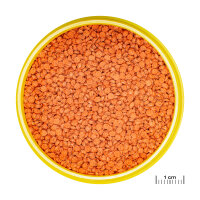 JBL ProNovo Bits Grano M 5,5L