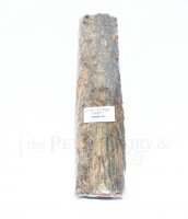 The Pet Factory Korkplatten natur 3er Set, 36x8cm