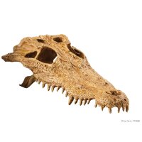 Exo Terra Crocodile Kopf 23x12x7,5cm