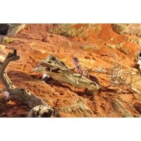 Exo Terra Crocodile Kopf 23x12x7,5cm
